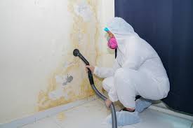 Why You Should Choose Our Mold Remediation Services in Veazie, ME